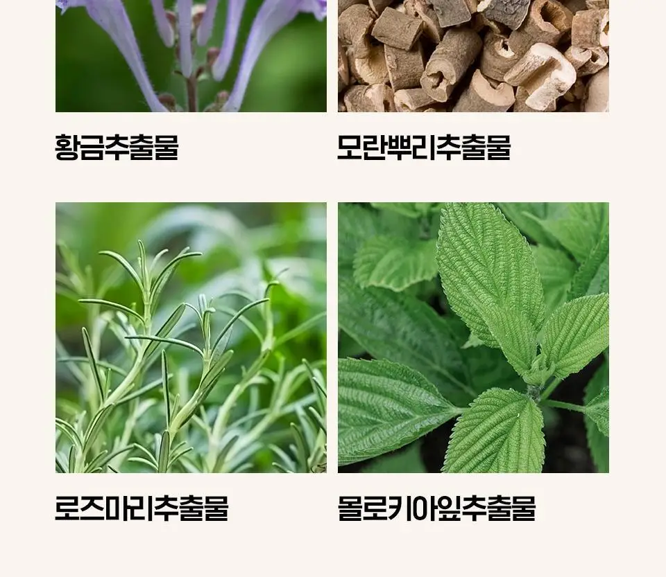 [코어탄력세럼] 아이소이 인텐시브 리프팅 세럼 20ml 기획 (20ml+탄력스팟 3ml) 상세페이지 15